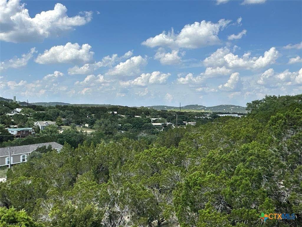 Lago Vista, TX 78645,19909 Blanco DR