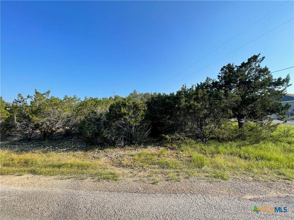 Canyon Lake, TX 78133,320 Ridgewood TRL