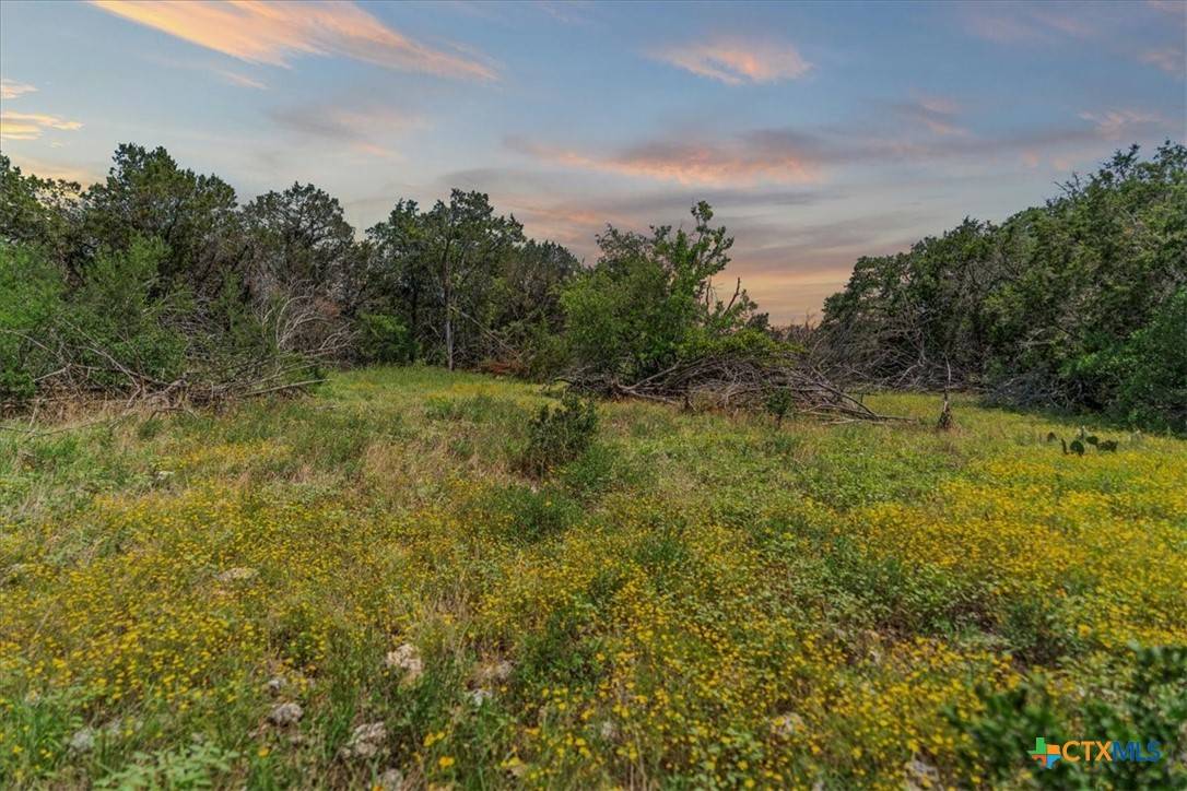 Wimberley, TX 78676,1001 Bluff View RD
