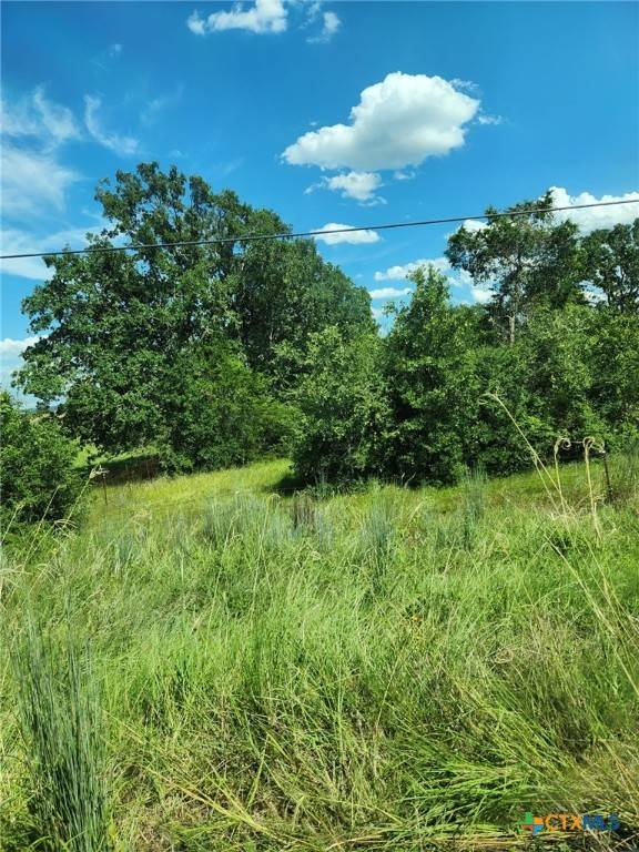 Bastrop, TX 78602,TBD Fm 2336