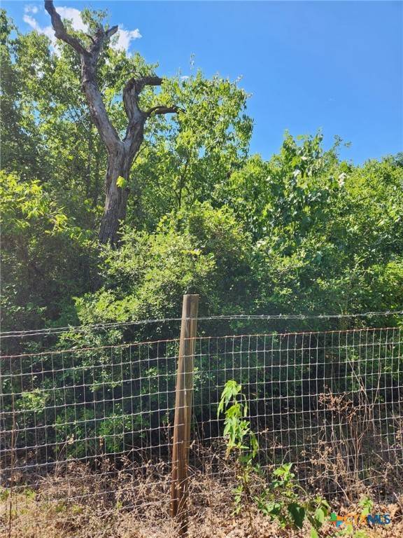 Bastrop, TX 78602,TBD Flaming Oak Drive