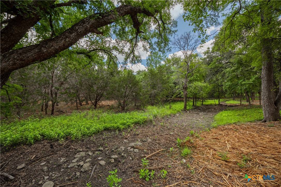 Georgetown, TX 78633,250 E Ridgewood RD