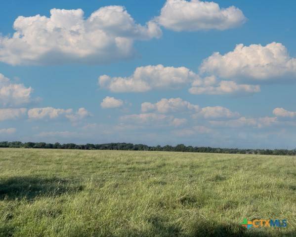 Caldwell, TX 77836,Tract 1 - TBD CR 318