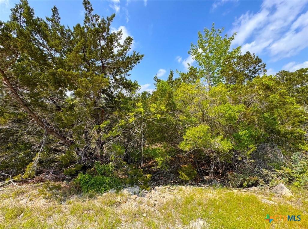 Canyon Lake, TX 78133,985 Oblate DR
