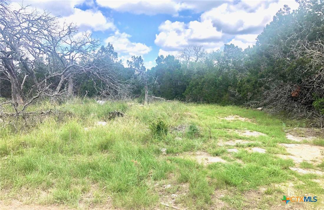 Boerne, TX 78006,623 Fm 474