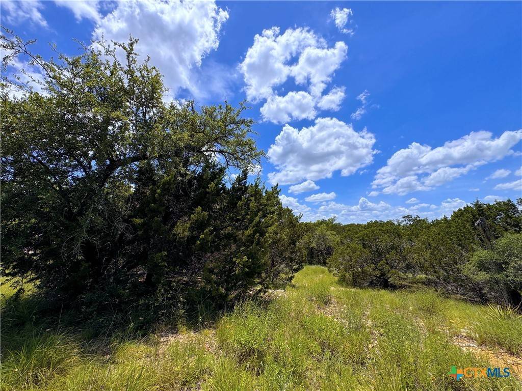 Canyon Lake, TX 78133,985 Malbec LOOP