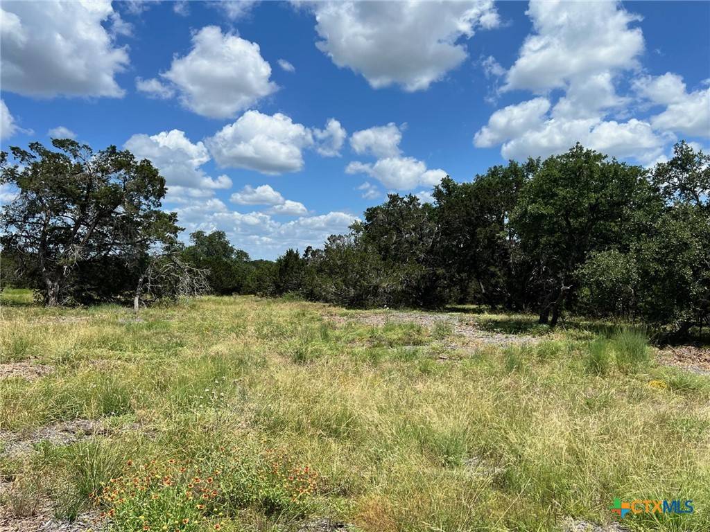 Bertram, TX 78605,Lot 14 Riparian Elm RD #14