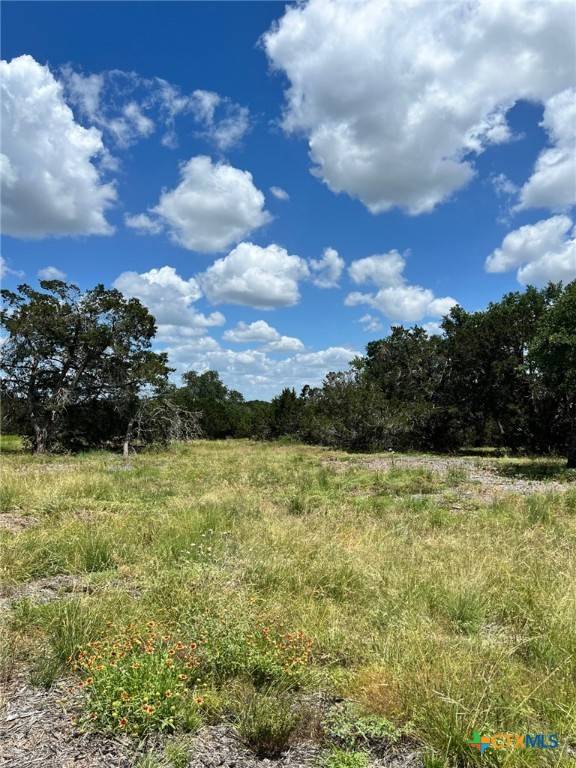 Bertram, TX 78605,Lot 12 Riparian Elm RD #12