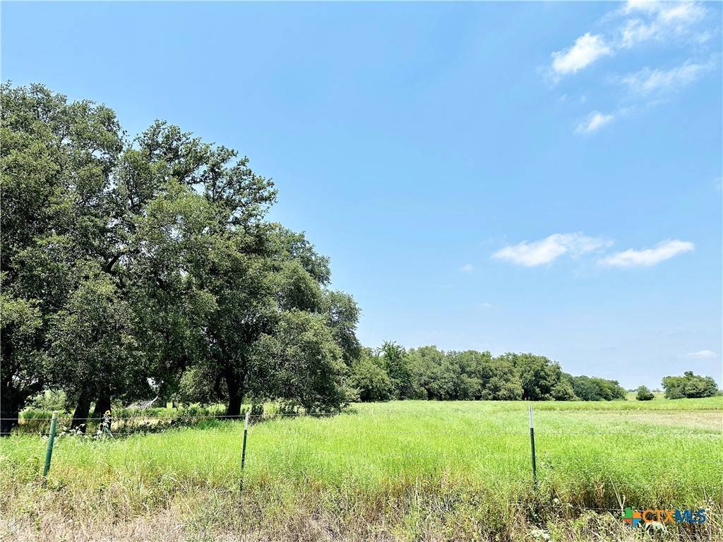 Gatesville, TX 76528,Deer Haven Tract 1 County Road 265