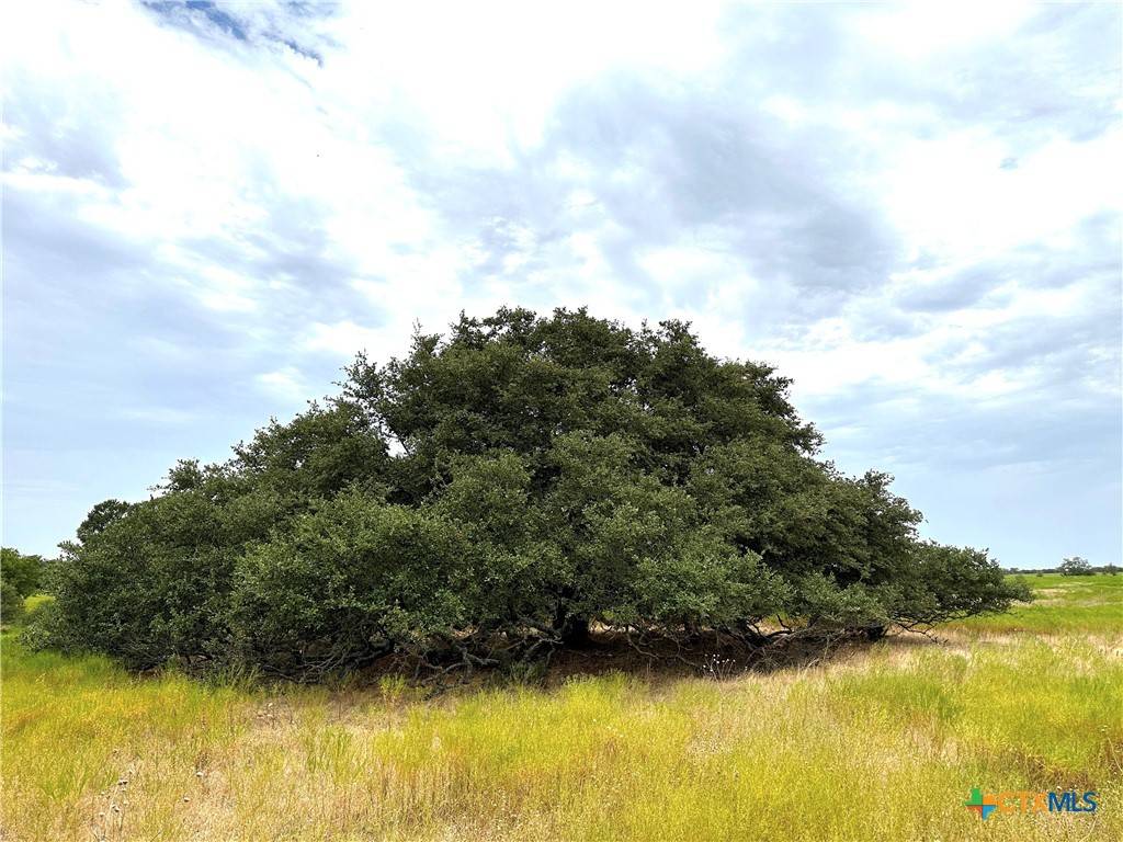 Gatesville, TX 76528,Deer Haven Tract 1 County Road 265