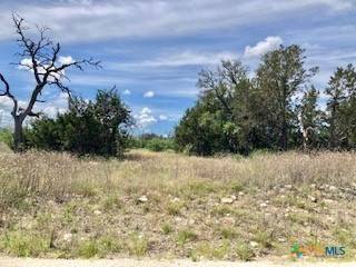 Lampasas, TX 76550,LOT 73 Shin Oak DR