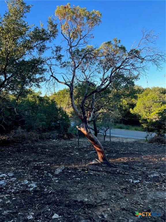 Canyon Lake, TX 78133,340 Ledgeview DR