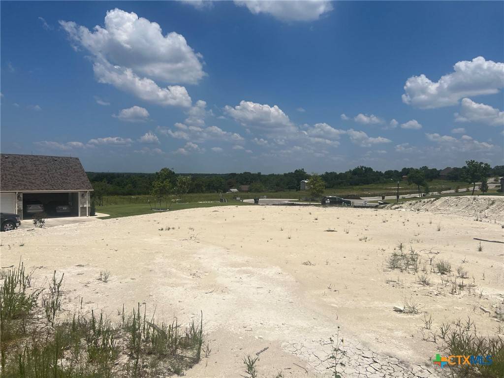Temple, TX 76502,7099 Troyan LN
