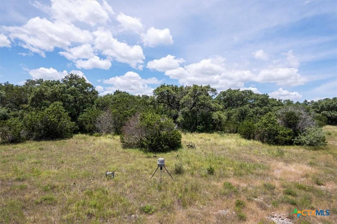 New Braunfels, TX 78132,1351 Purgatory RD
