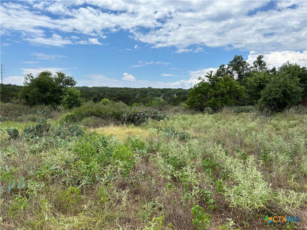 New Braunfels, TX 78132,1959 FM 2722