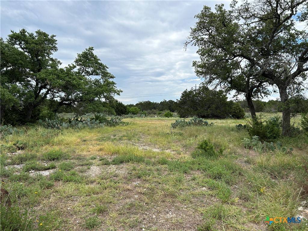 New Braunfels, TX 78132,1959 FM 2722