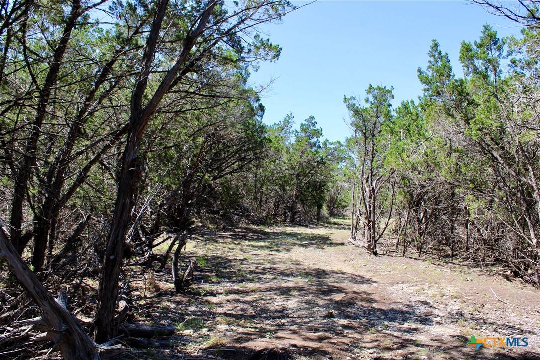 Spring Branch, TX 78070,Lot 89 N Stallion Estates DR