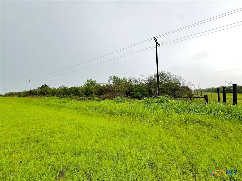 Goliad, TX 77963,TBD FM 81