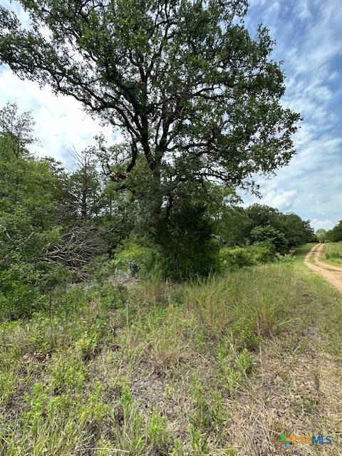 Bastrop, TX 78602,0 Tbd Lot 104 Ripple Brook Dr.
