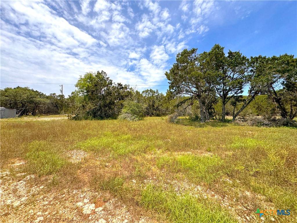 Canyon Lake, TX 78133,1261 Donna DR