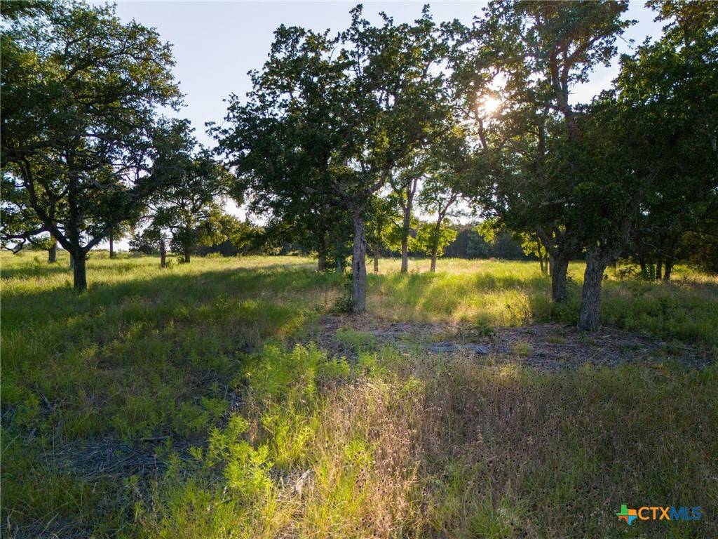 Lampasas, TX 76550,119 Pecan Creek DR