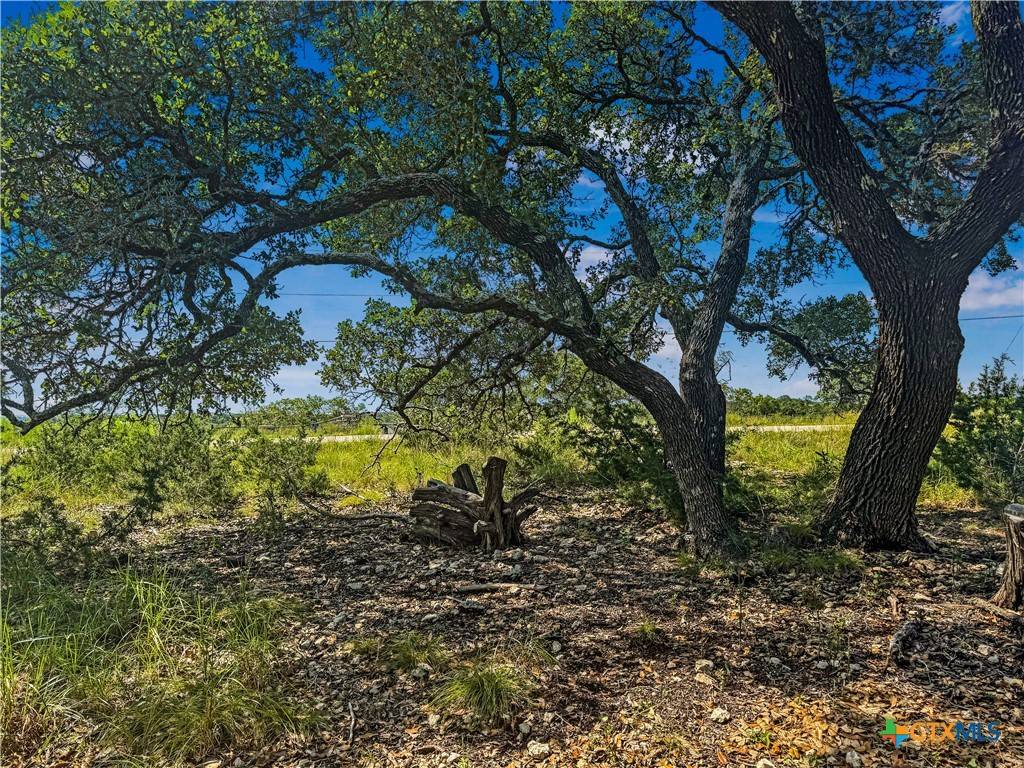 Boerne, TX 78006,12 Linwood RDG