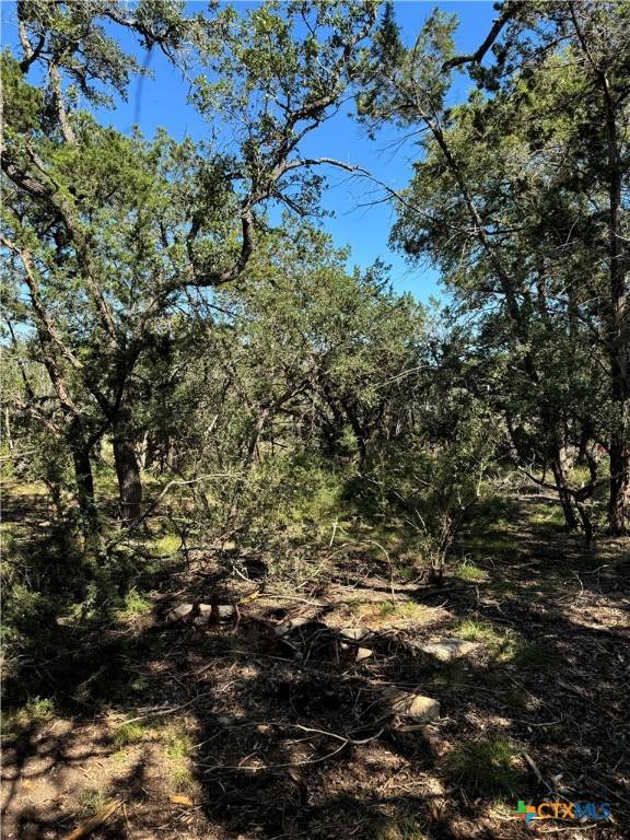 Spring Branch, TX 78070,2869 Western Skies DR