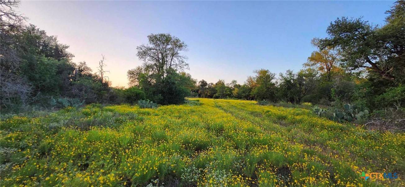 Holland, TX 76534,TBD Rosanky RD