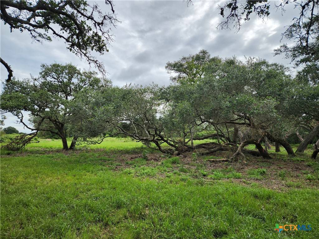 Columbus, TX 78934,TBD Shore Bird LN