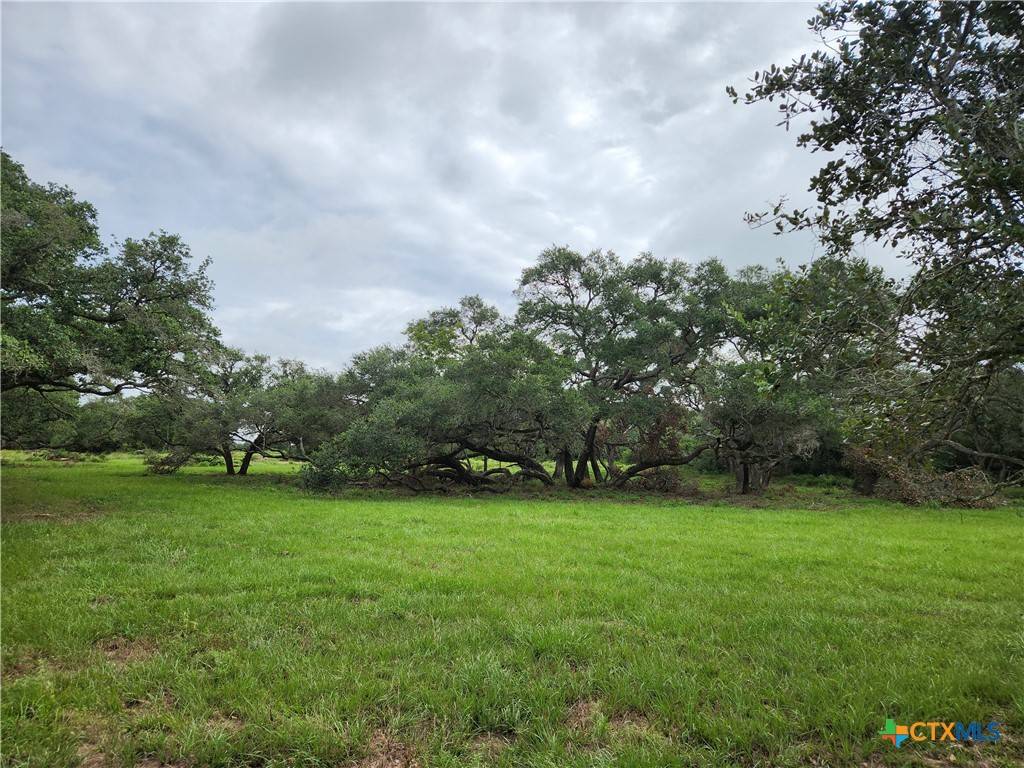 Columbus, TX 78934,TBD Shore Bird LN