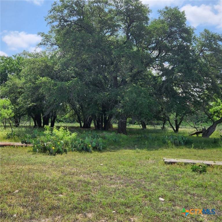 Kempner, TX 76539,TBD FM 2313