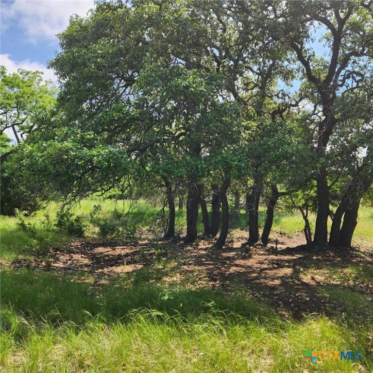 Kempner, TX 76539,TBD FM 2313