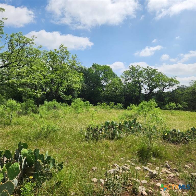 Kempner, TX 76539,TBD FM 2313