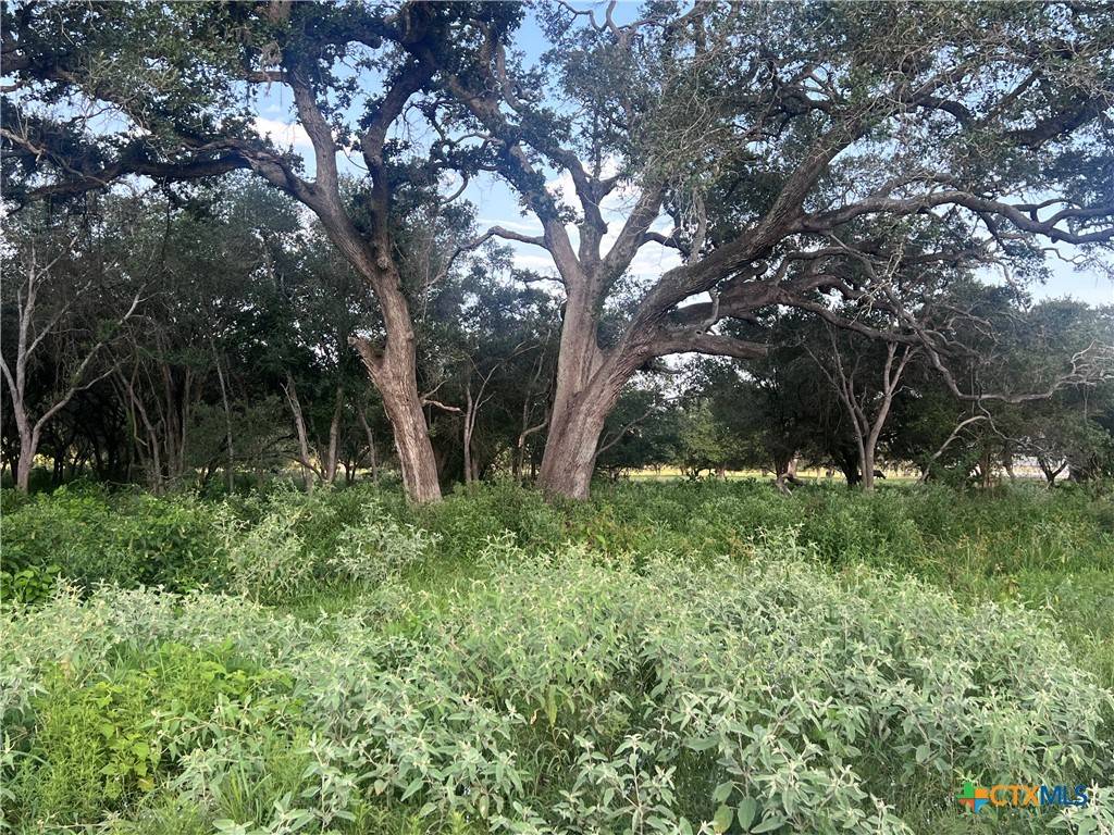 Inez, TX 77968,000 Savannah Ranch RD