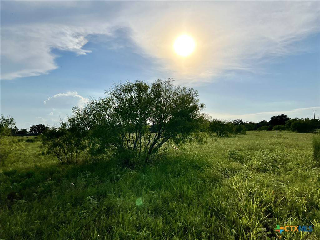 Stockdale, TX 78160,6031 CR 427