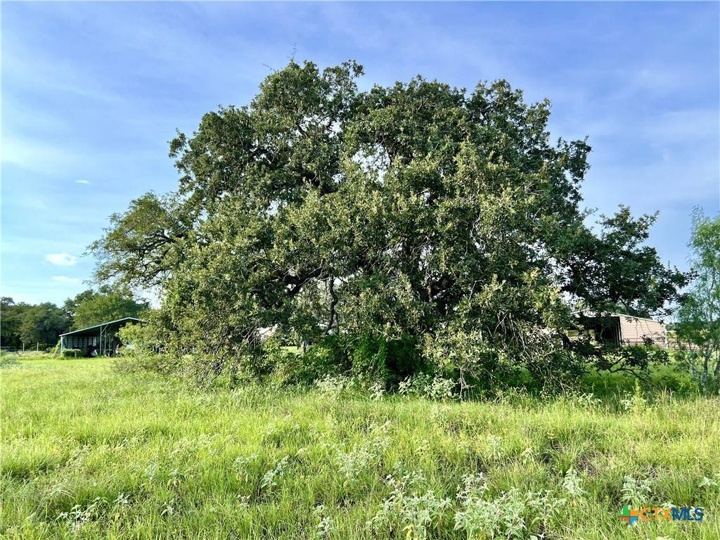 Stockdale, TX 78160,6031 CR 427