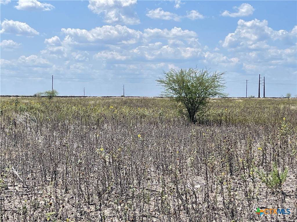 D'hanis, TX 78850,TBD Lot 1 County Road 515