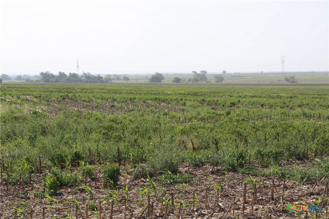 Bartlett, TX 76511,TBD Gooseneck RD #3