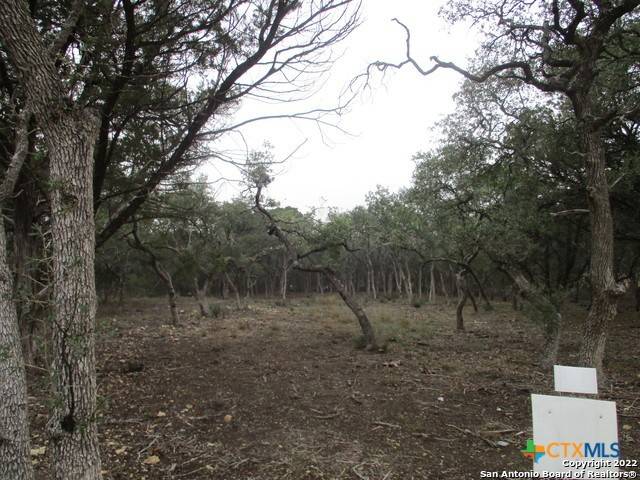 Bulverde, TX 78163,34748 Ansley Ridge Trail