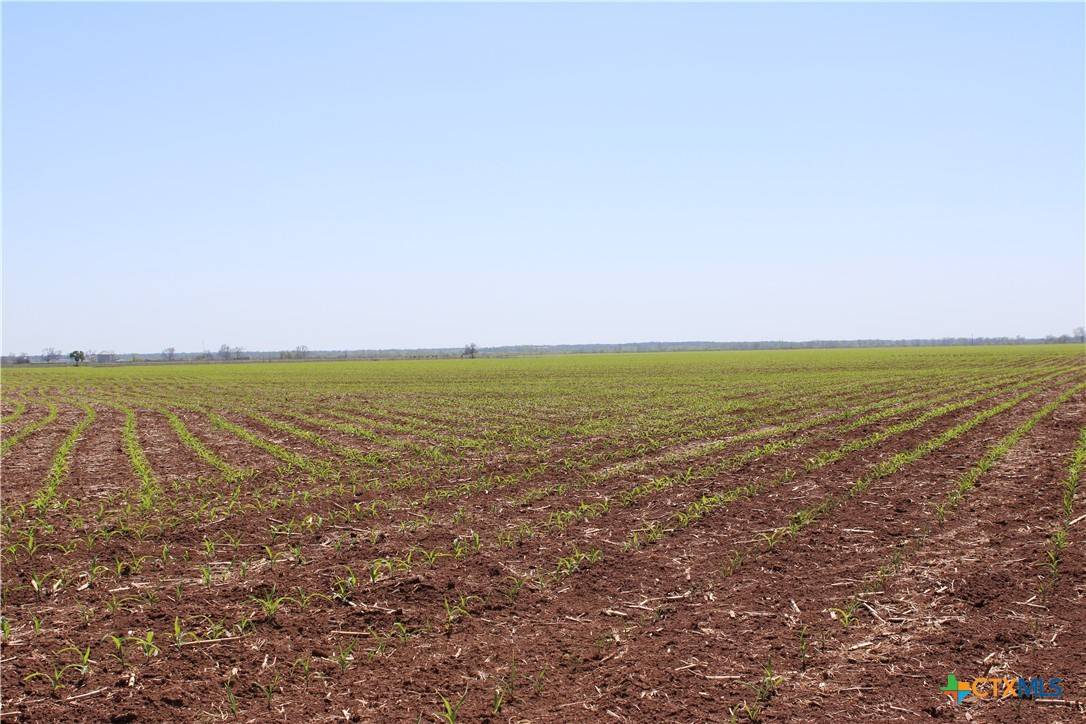 Marlin, TX 76661,TBD County Road 301
