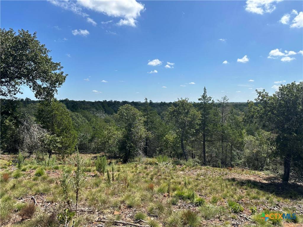 Harwood, TX 78632,TBD Sandy Fork RD