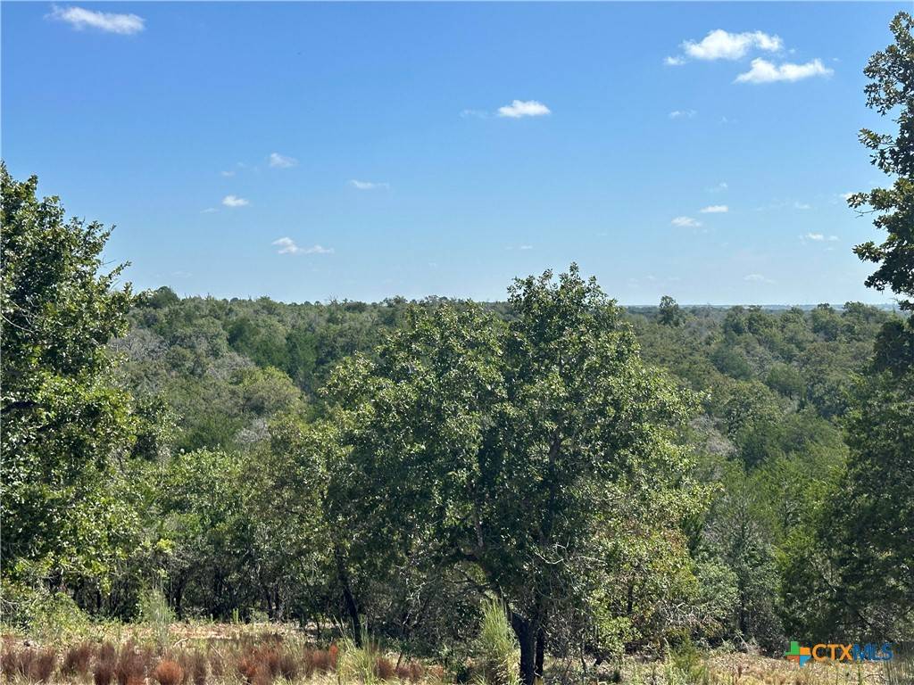 Harwood, TX 78632,TBD Sandy Fork RD