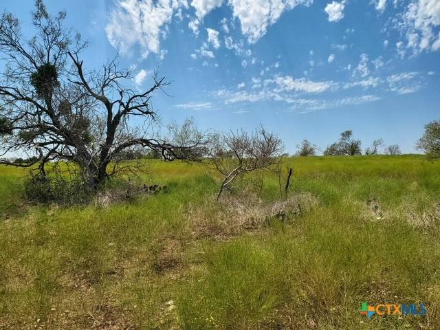 Copperas Cove, TX 76522,19.13 Acres Harmon RD