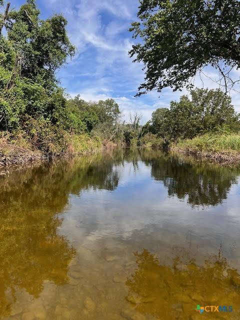Burnet, TX 78611,1620 County Road 203