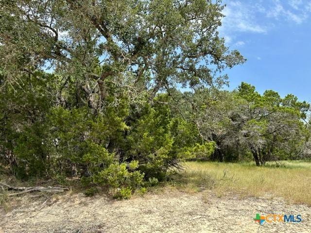 Canyon Lake, TX 78133,118 Water Oak LN