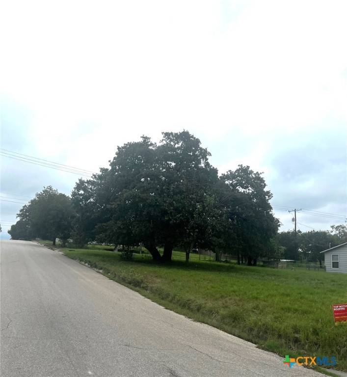 Lampasas, TX 76550,207 N Ridge ST