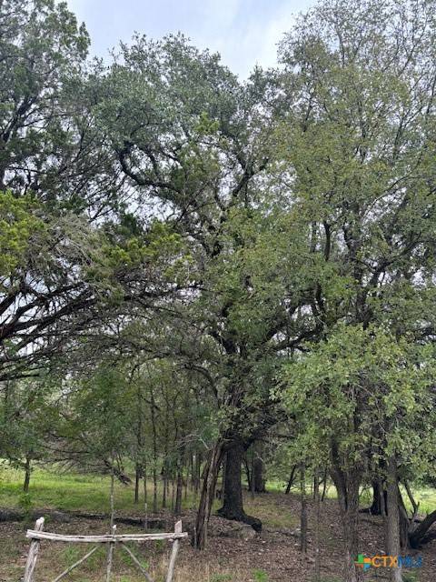 Wimberley, TX 78676,101 Hub DR