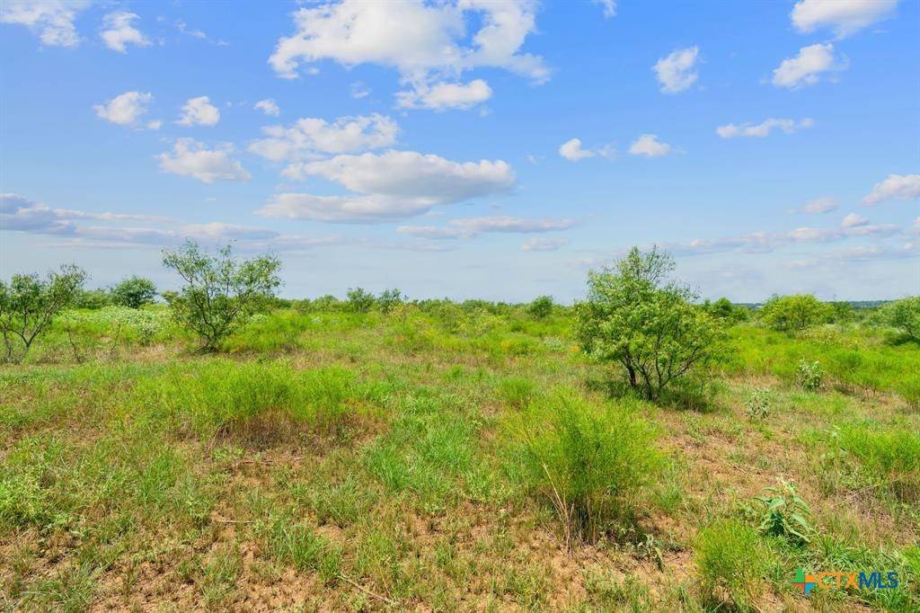 Harwood, TX 78629,Lot 2 Cr 280