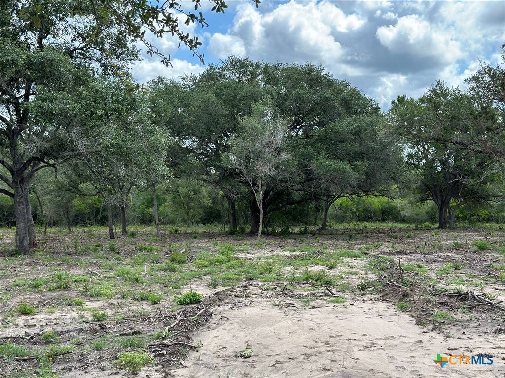 Goliad, TX 77963,TBD FM 1351