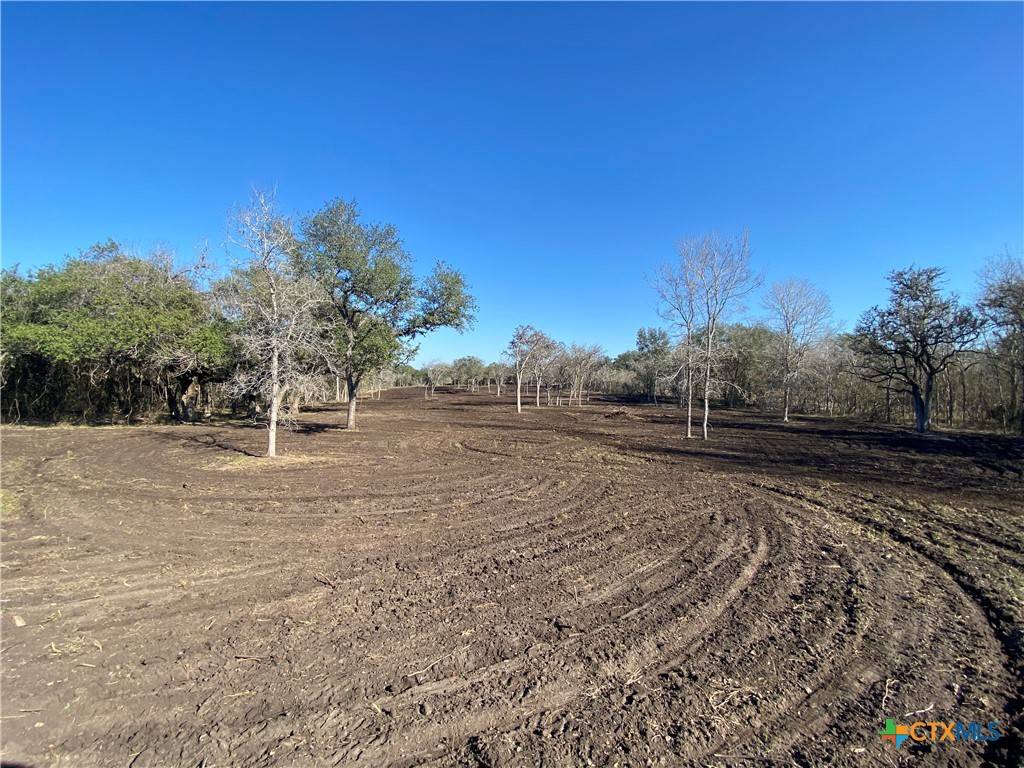 Goliad, TX 77963,TBD FM 1351